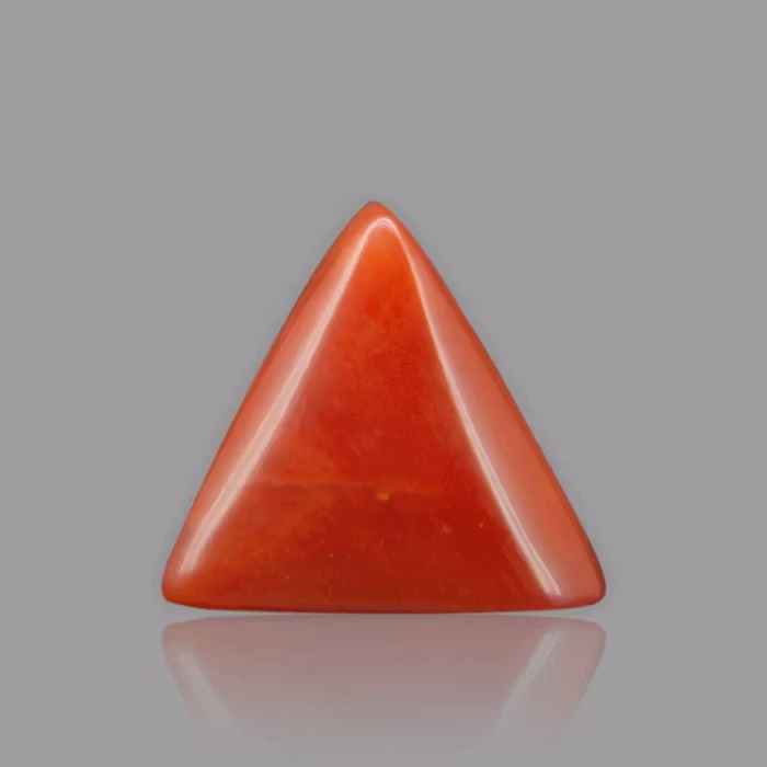 Red Coral - 3.16 Carat